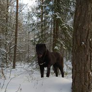 Валентин Шпаковский