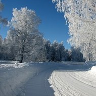 Любовь Бочкарёва