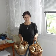 Наталка Бенешова