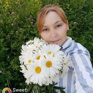 Айдай 🌼🌼🌼