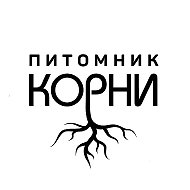 Питомник Корни