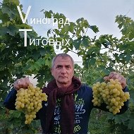 Виноград Титов