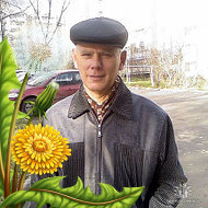Владимир Котенко