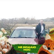 Александр Лось