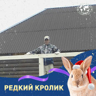 Виктор Грамихин