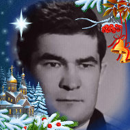 Александр Николаев