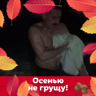 Андрей Новиков