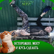 Дмитрий Стрижов