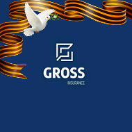 Gross Insurance