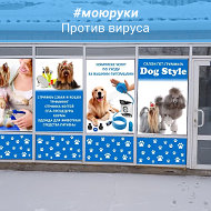 Пет-груминг Dog