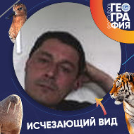 Алексей Алиев