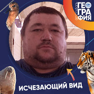 Андрей Греков