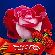 Роза Розова