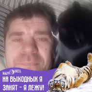 Александр Богданов