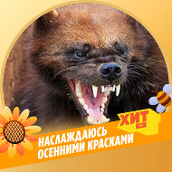 Костя Повстянко