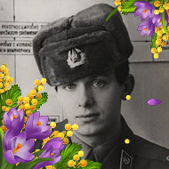 Александр Щербаков