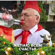 Денис Герасимов