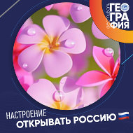 Наталья Ярополова