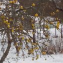 Фотография от Наталья Единович (Галуза)