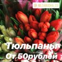 Фотография "Уже в наличии высокие красивые тюльпаны 🌷 #незабудка33 #тюльпанына8мартаковров #доставкацветовковров"