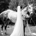 Фотография "Styled shoot 😍🐴💕 #picpromd #picpromdwedd #weddingsession #horse #horsewedding"