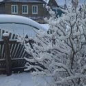 Фотография "

Весна идет-весне дорогу!
Весной всё пахнет и цветет,
Прекрасен мир в такую пору
И душенька весной поет!🙃"