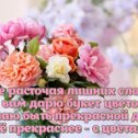 Фотография "Хочешь поздравить друзей красивой открыткой? Заходи к нам! http://www.odnoklassniki.ru/app/minutta"