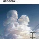 Фотография от Светлана Гаврилова