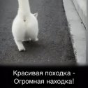 Фотография от Ира Щукина