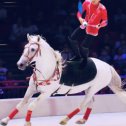 Фотография от Somon Horses Show Official ✅
