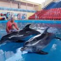 Фотография "Мы с Никитой наслаждаемся тёплым морем и солнышком. Дельфинарий в Лазоревском... "