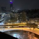 Фотография "Первый снег Вена 2023 "