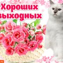 Фотография от Николай Пшеничных