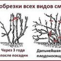 Фотография от Дачный Советник