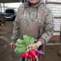 Фотография "АГРОНОМ по выращиванию ВИТАМИНА =Ю"