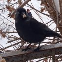 Фотография от Валерий Тяпкин