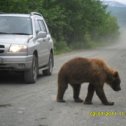 Фотография "Медведи оборзели  Малки 2011"