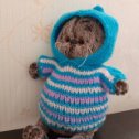 Фотография "⠀🎀Новая весенняя модель свитера для Басика!
⠀🎀Свитер с капюшоном - удобно для прогулок!
⠀🎀Связан из мягкой детской пряжи Пехорка.
⠀🎀Красивый, нарядный и очень удобный
⠀
⠀#budibasa #басики #одежданабасиков #свитер #свитерспицами #вязаниеспицами #одежданакукол #лили #басикбэби #подарокбасику #люблювязать #подарокдевочке #люблювязать #свитербасику #knitting #sweater #toyswear #loveknitting #дочка #подарокдочке #люблюдочку #девочки #подарокдевочке #knittedsweater #daughter #girls #presentsforgirls #rostov #ростов #handmade"