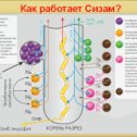 Фотография от Микроудобрение СИЗАМ