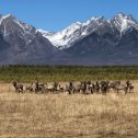 Фотография от ПЛАНЕТА Аршан Байкал Китай