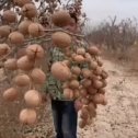 Фотография от валентина кульчицкая