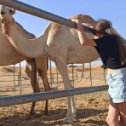 Фотография "— Скажите, будьте так добры,
В пустыне водятся бобры?
— Бобрам в пустыне худо.
Тут водятся верблюды.

"