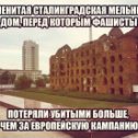 Фотография от гиви догузов