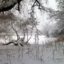 Фотография "Кимовский лес,лыжи и чудесный день"