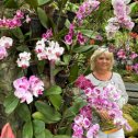 Фотография "Здесь наслаждаться цветением орхидей можно круглый год"
