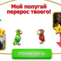 Фотография "Наташка, мой попугая перерос твоего. Попробуй догони! http://www.ok.ru/game/1142001664"