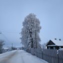 Фотография от Александр Тарасевич