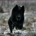 Фотография от Эмиль Сеидалиев