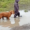 Фотография "Внук, и наша Рокси."