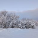 Фотография от Елена Волчкова